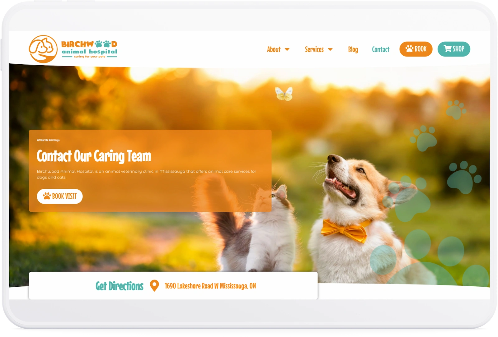 Optiimus Dental, Medical & Healthcare Marketing Wordpress veterinary website design animal hospital