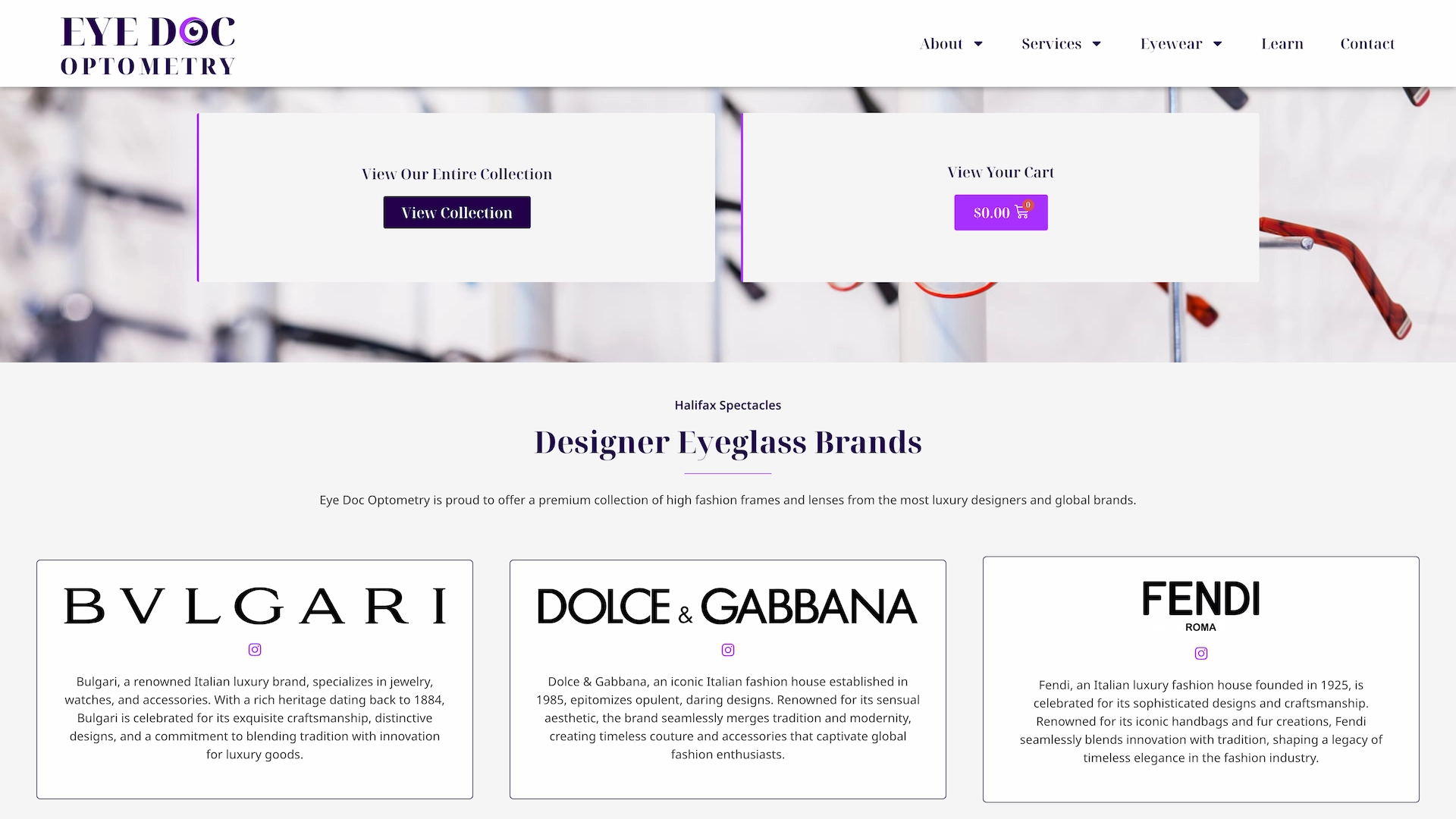 Optiimus Dental, Medical & Healthcare Marketing Wordpress-website-design-optometry17