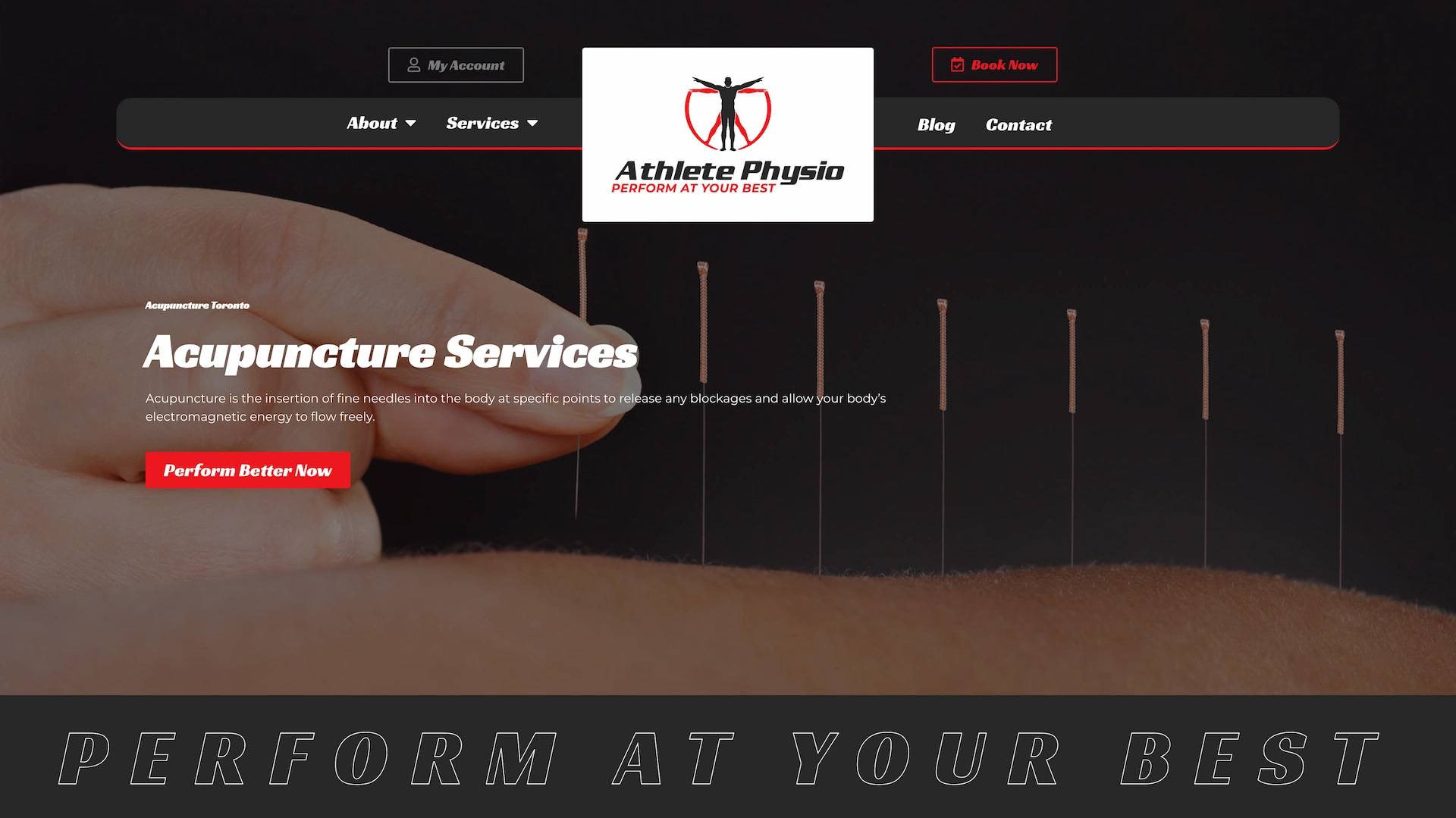 Optiimus Dental, Medical & Healthcare Marketing Wordpress-website-design-physiotherapy14