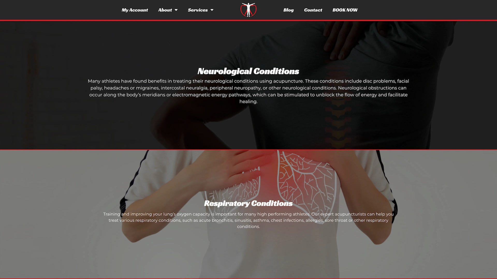 Optiimus Dental, Medical & Healthcare Marketing Wordpress-website-design-physiotherapy15