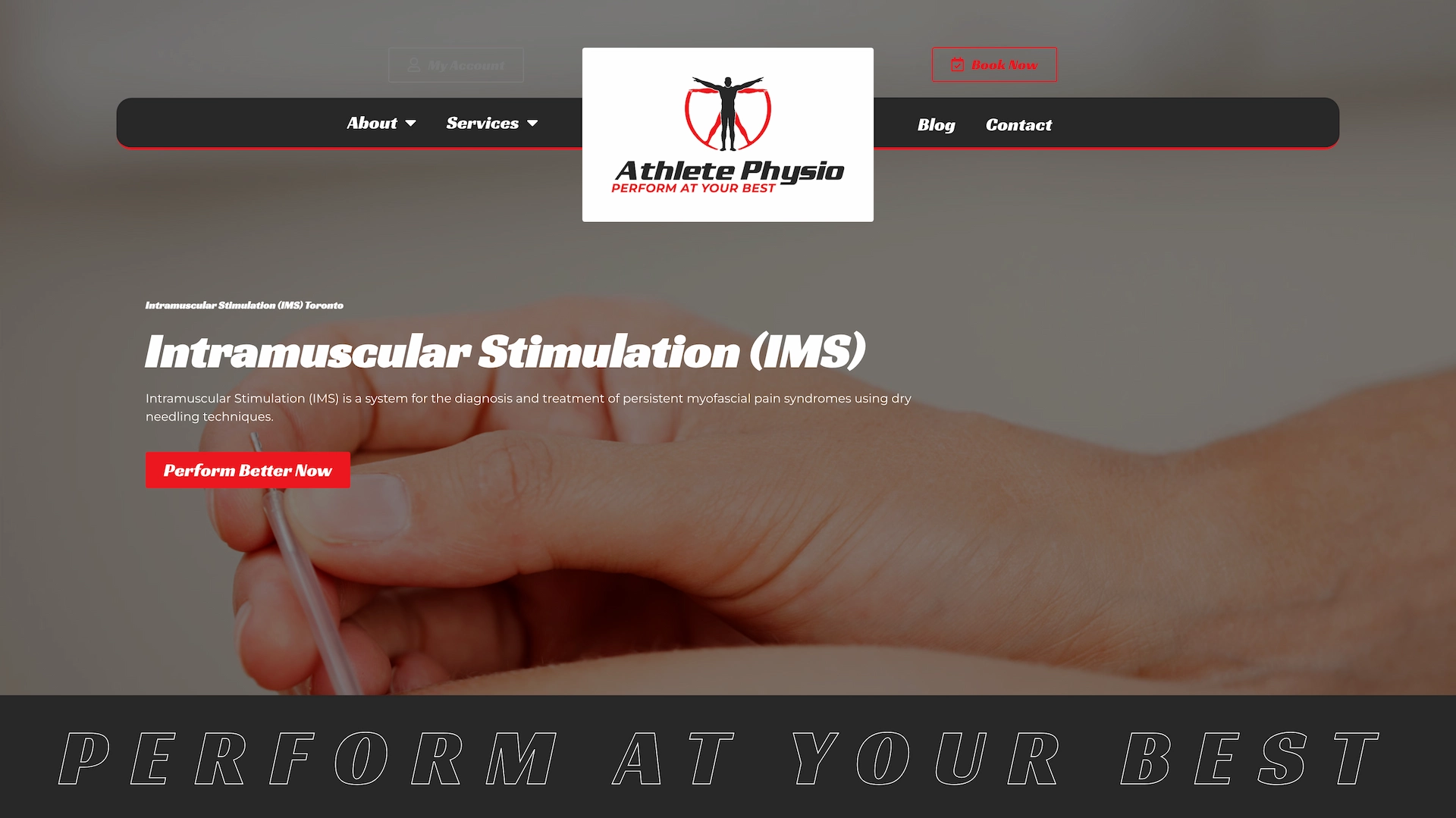 Optiimus Dental, Medical & Healthcare Marketing Wordpress-website-design-physiotherapy17