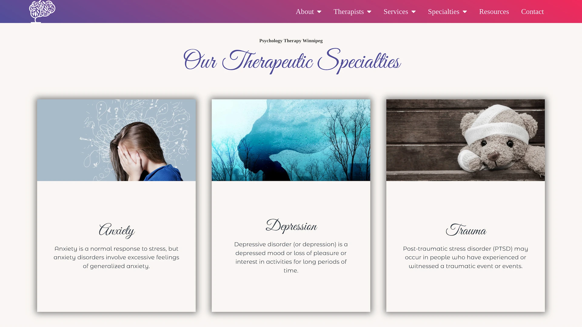 Optiimus Dental, Medical & Healthcare Marketing Wordpress-website-design-therapy5