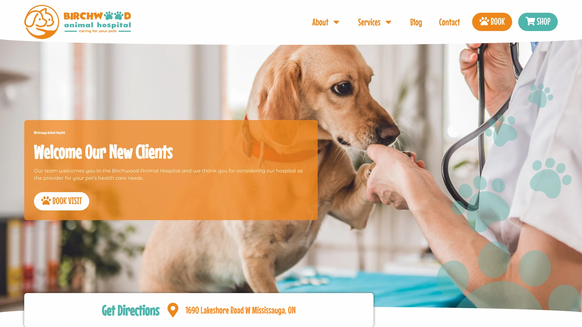 Optiimus Dental, Medical & Healthcare Marketing Wordpress-website-design-veterinary12