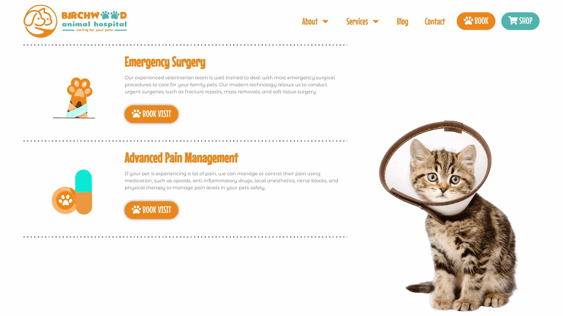 Optiimus Dental, Medical & Healthcare Marketing Wordpress-website-design-veterinary17