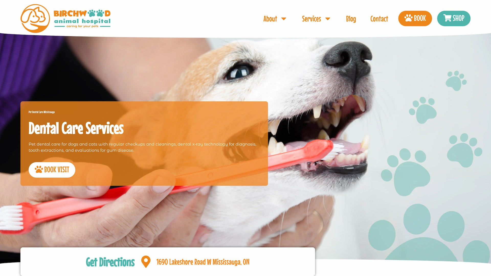 Optiimus Dental, Medical & Healthcare Marketing Wordpress-website-design-veterinary18