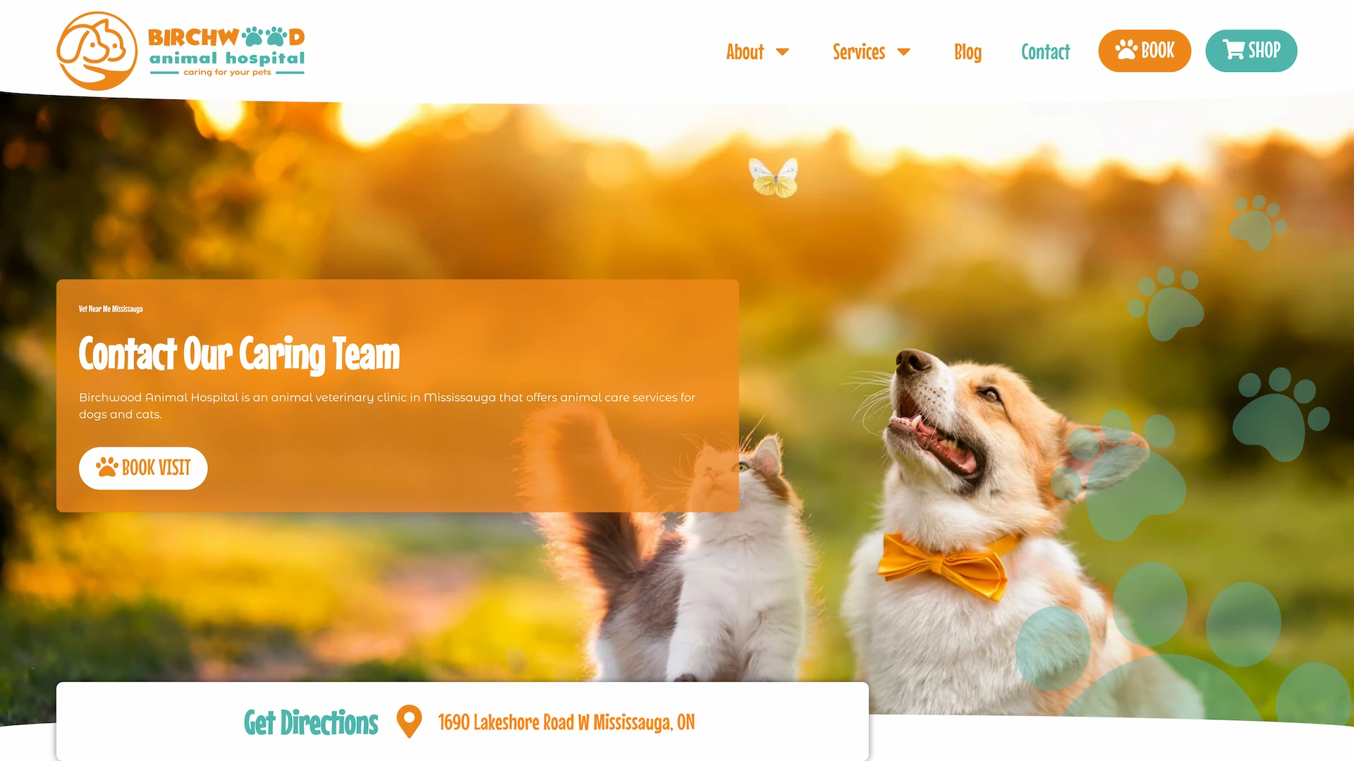 Optiimus Dental, Medical & Healthcare Marketing Wordpress-website-design-veterinary19