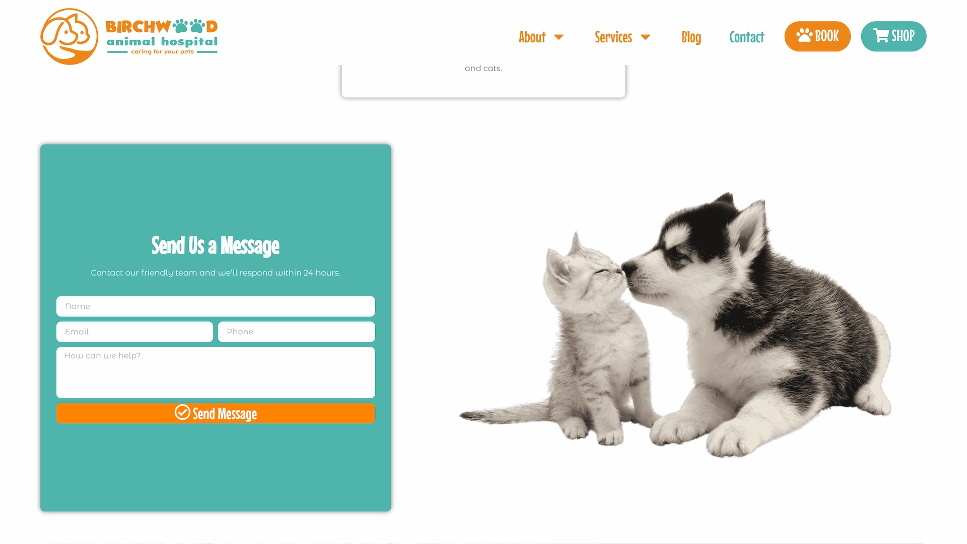 Optiimus Dental, Medical & Healthcare Marketing Wordpress-website-design-veterinary20