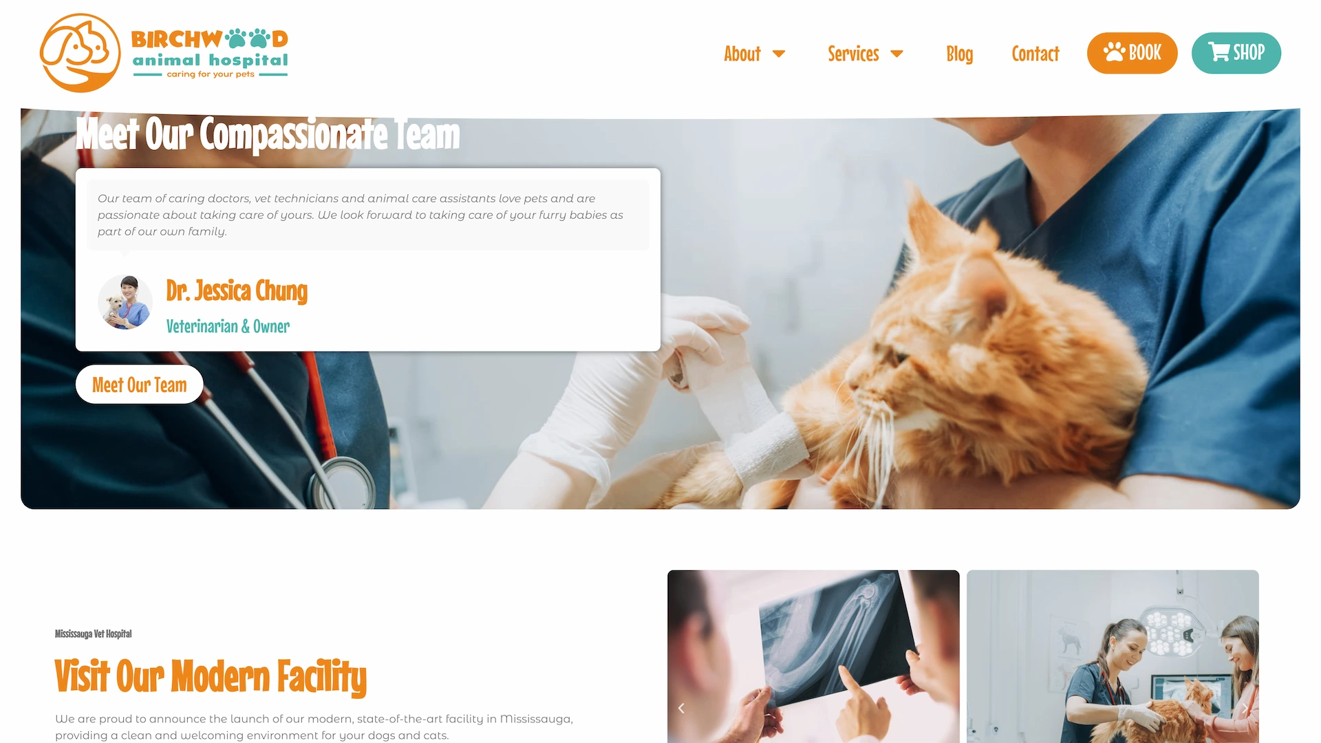 Optiimus Dental, Medical & Healthcare Marketing Wordpress-website-design-veterinary3