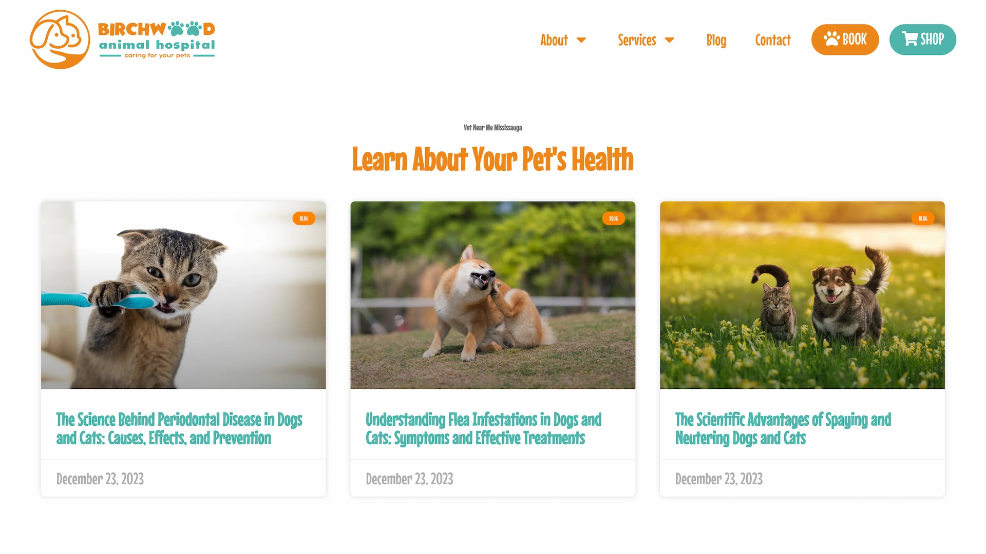Optiimus Dental, Medical & Healthcare Marketing Wordpress-website-design-veterinary4