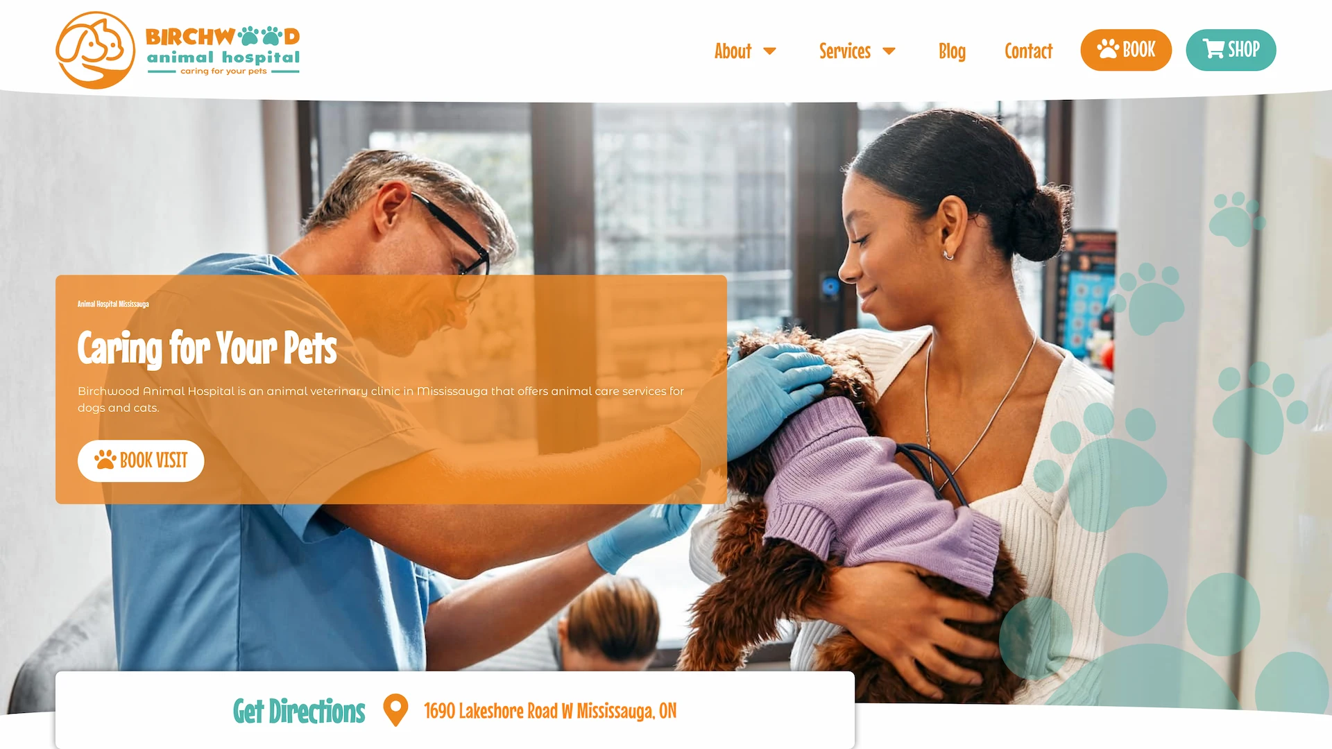 Optiimus Dental, Medical & Healthcare Marketing Wordpress-website-design-veterinary6