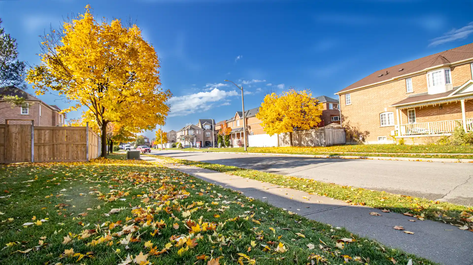 Brampton2