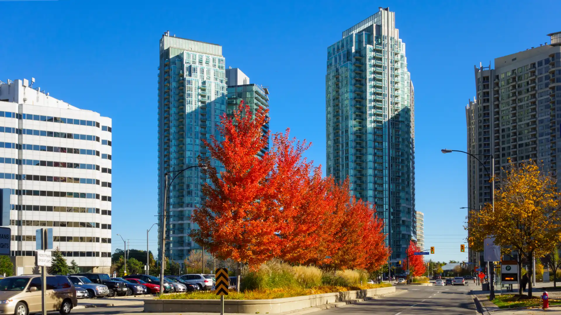 Mississauga Ontario